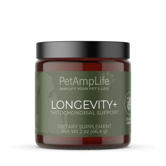 Longevity+