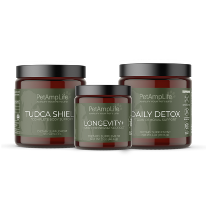 Daily Support & Vitality Kit