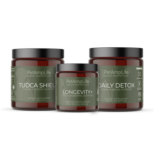 Daily Support & Vitality Kit